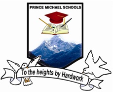 PRINCE MICHAEL SCHOOLS